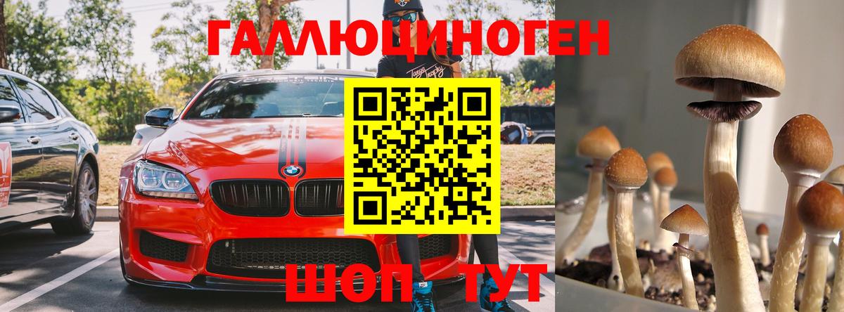 Галлюциногенные грибы мицелий Кунгур